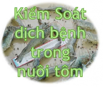 /uploads/.thumbs/images/bai-viet/z6504048541948-80ddd177e59cd0973fce5520fc954ffb.jpg