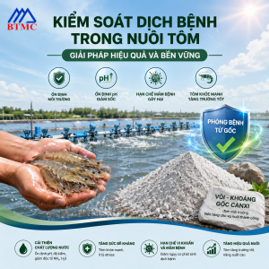 /uploads/.thumbs/images/bai-viet/kiem-soat-dich-benh-trong-nuoi-tom.png